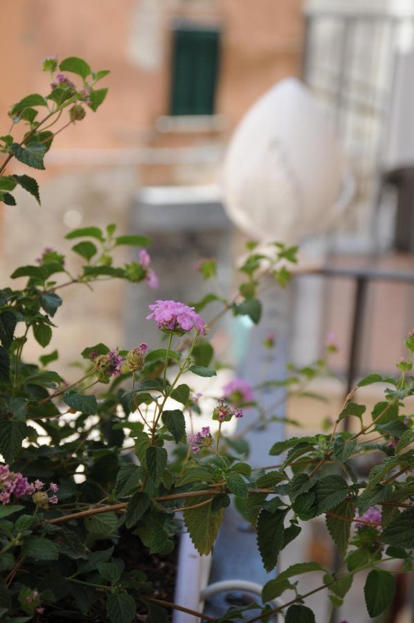 B&B Vin E Va Μπάρι Εξωτερικό φωτογραφία